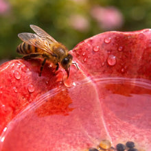 Lade das Bild in den Galerie-Viewer, Handgemachte Bienenblüten – Wetterfeste Keramik-Tränken, 4er-Set
