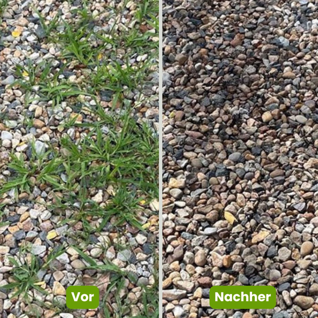 ProfiWeed® Diserbante potente - Elimina le erbacce senza fatica