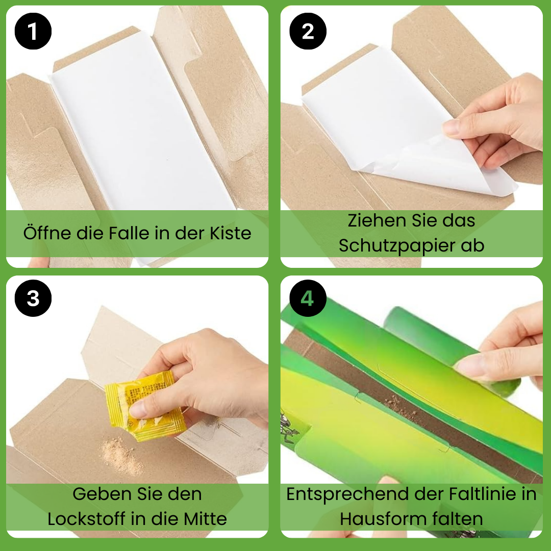 Set da 10 ferma scarafaggi - Cattura fastidiosi scarafaggi senza veleni